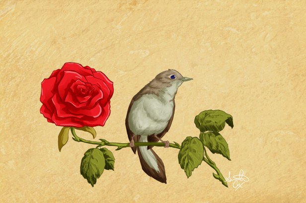 gul ile bulbulun hikayesi