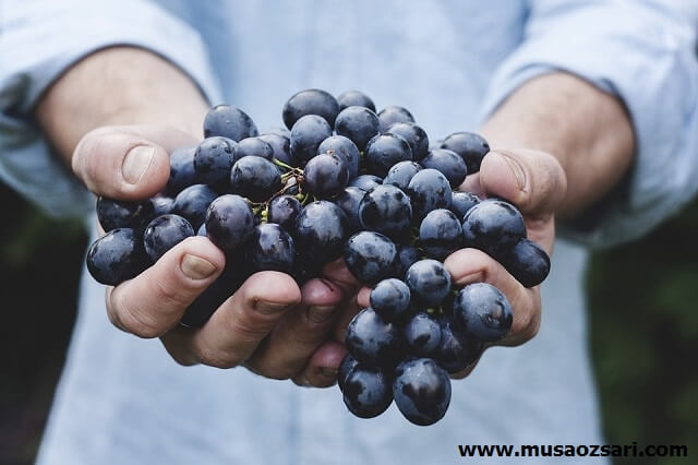kişisel blogum bana neler kazandırdı kisisel blogum bana ne kazandirdi